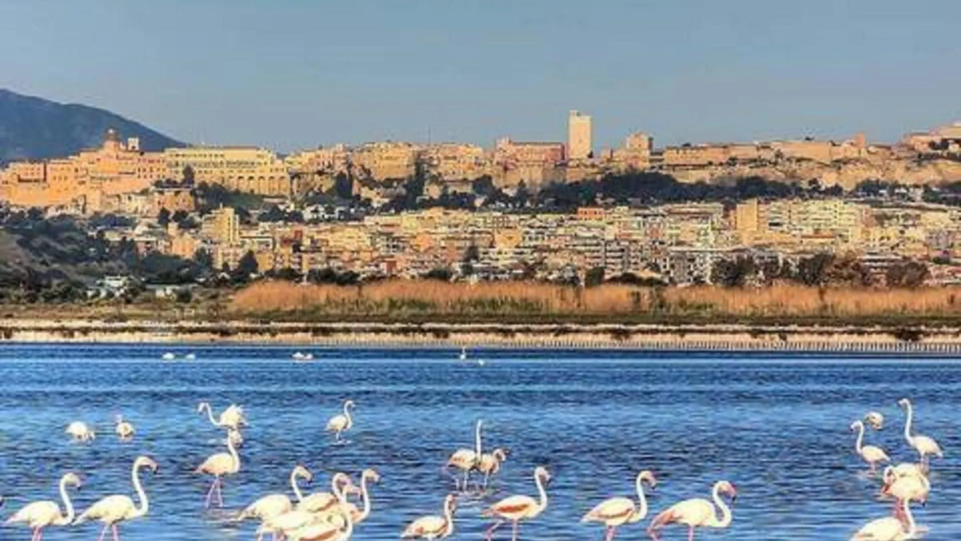 Pensjonat La Palma Rooms Cagliari